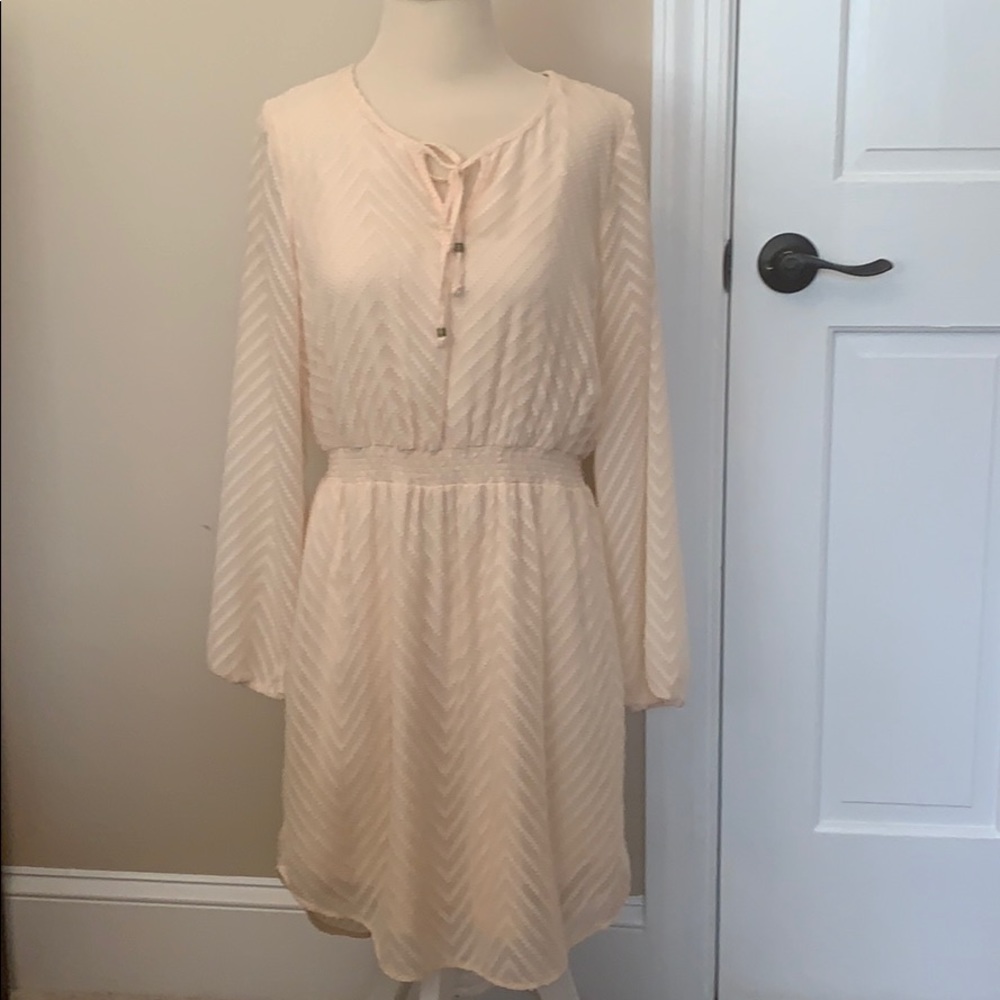 Daniel Rainn Long Sleeved Dress